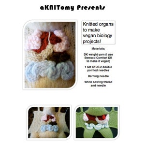 Knitted organs for vegan biology projects PDF pattern