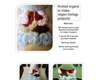 Knitted organs for vegan biology projects PDF pattern