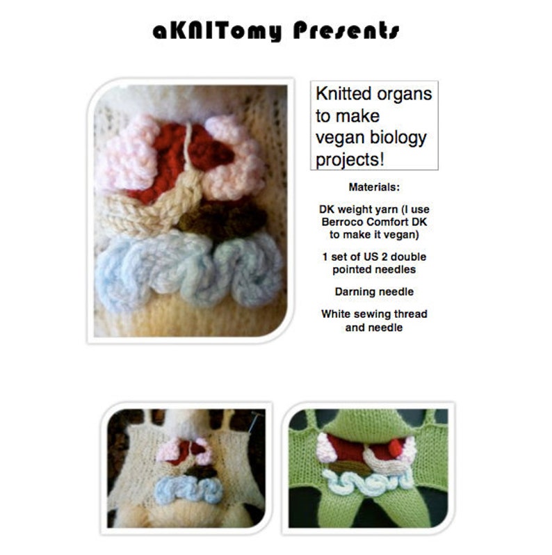 Knitted organs for vegan biology projects PDF pattern image 1