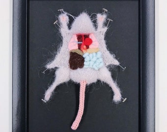 Grey Knitted Lab Rat: Framed with Black Background