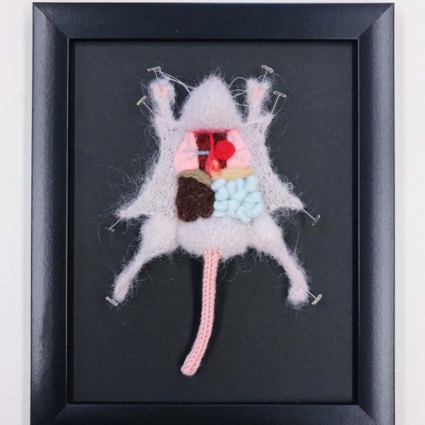 Grey Knitted Lab Rat: Framed with Black Background