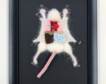 White Knitted Lab Rat: Framed with Black Background