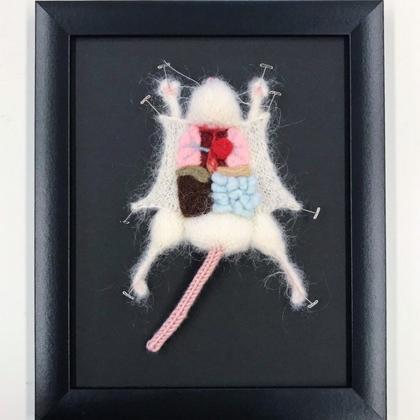 White Knitted Lab Rat: Framed with Black Background