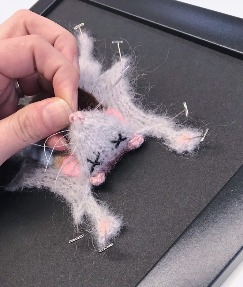 Grey Knitted Lab Rat: Framed with Black Background image 3
