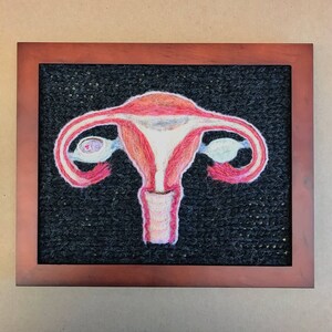 Human Female Reproductive System: A Study in Wool image 1