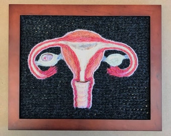 Human Female Reproductive System: A Study in Wool