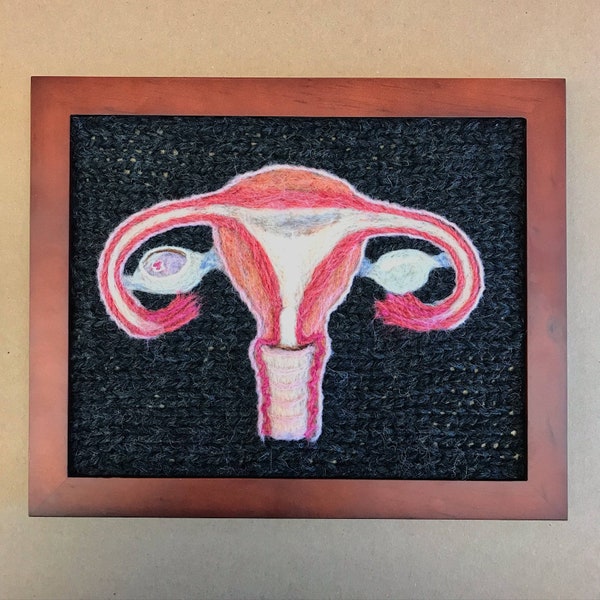 Human Female Reproductive System: A Study in Wool