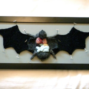 Knitted Dissected Bat Specimen image 2