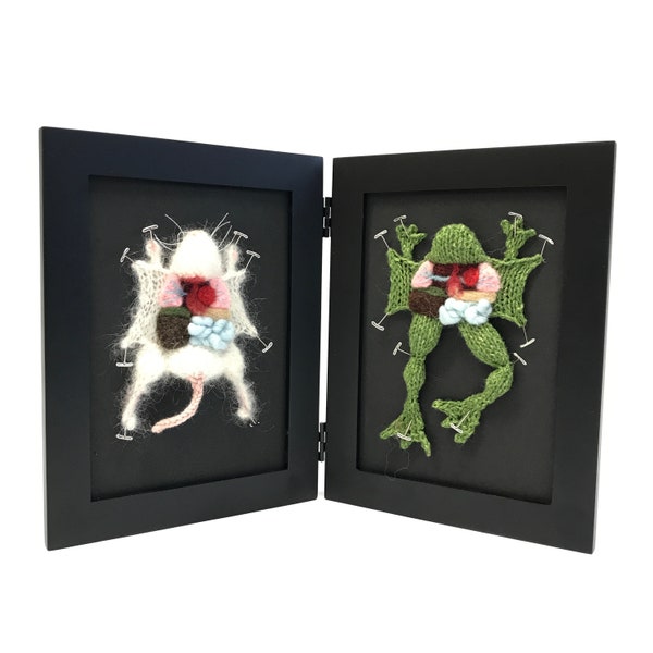 Miniature Frog and Rat Dissections Set