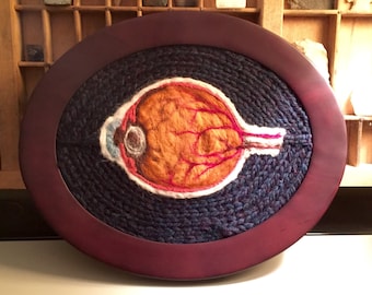 Anatomical Illustration of the Human Eye: A Study in Wool