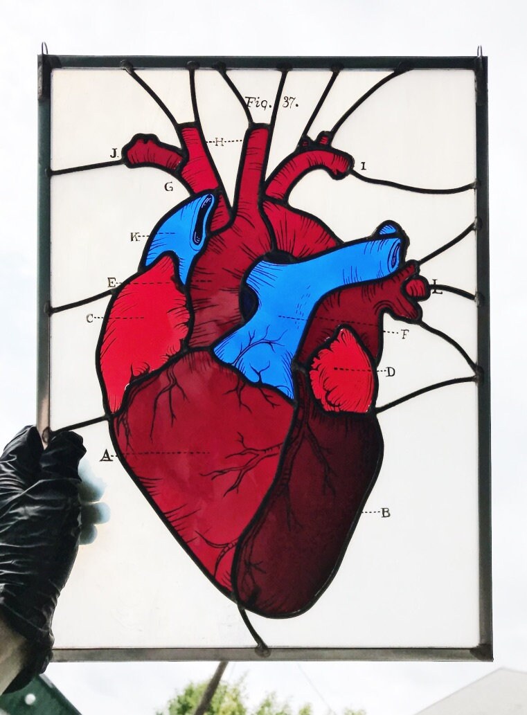 Small Stained Glass Heart - Anatomical Heart Suncatcher - Human Anatomy