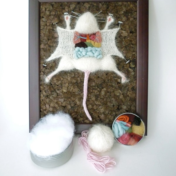 Knitted Lab Rat DIY Kit