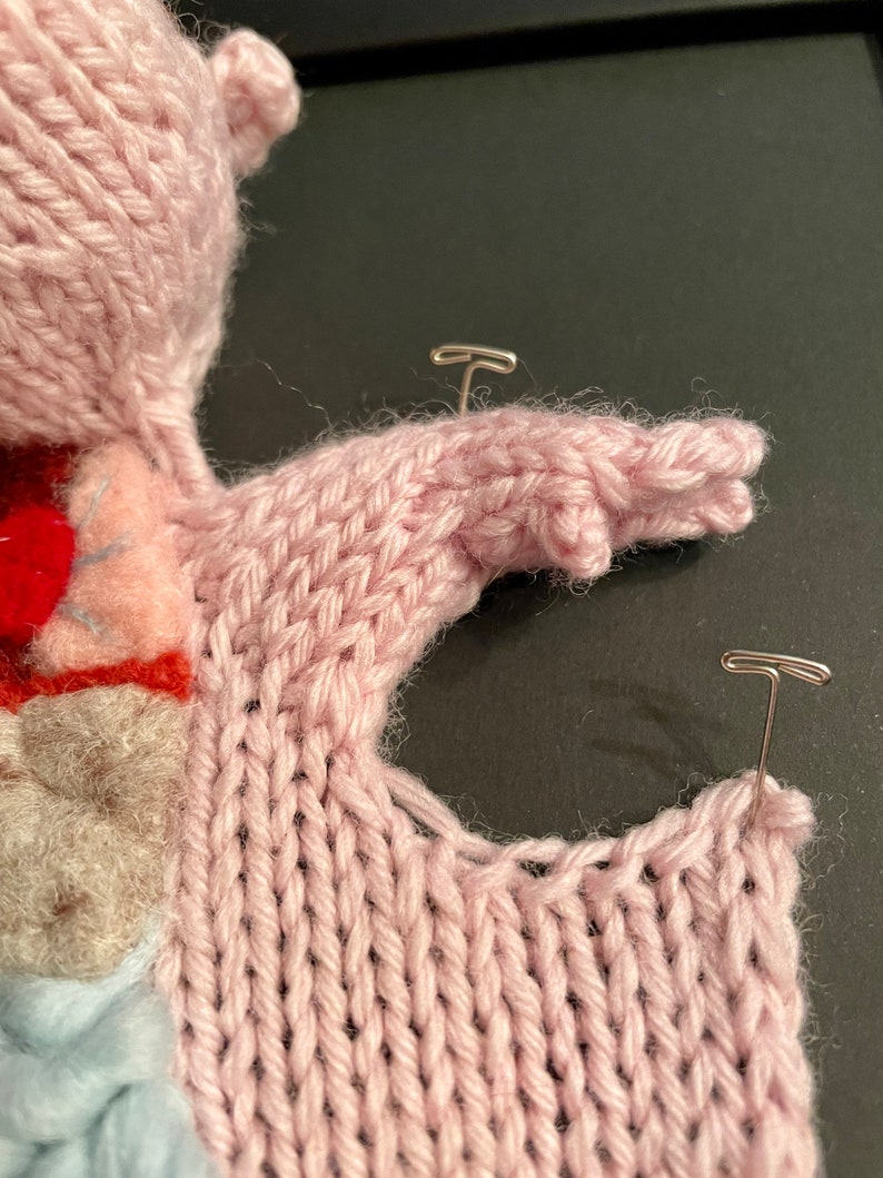 Knitted Fetal Pig: Framed with Black Background image 3