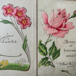 NUEVO STOCK 1905 Par de bonitas postales de recuerdo francesas vintage escritas a mano con motivos florales rosas