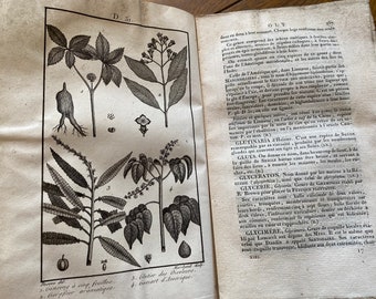 Atemberaubendes großes Antikes 1818 Französisches Rosa Buch Rag Papier Naturgeschichte Zoologie mit Illustrationen Altes Papier Ephemera