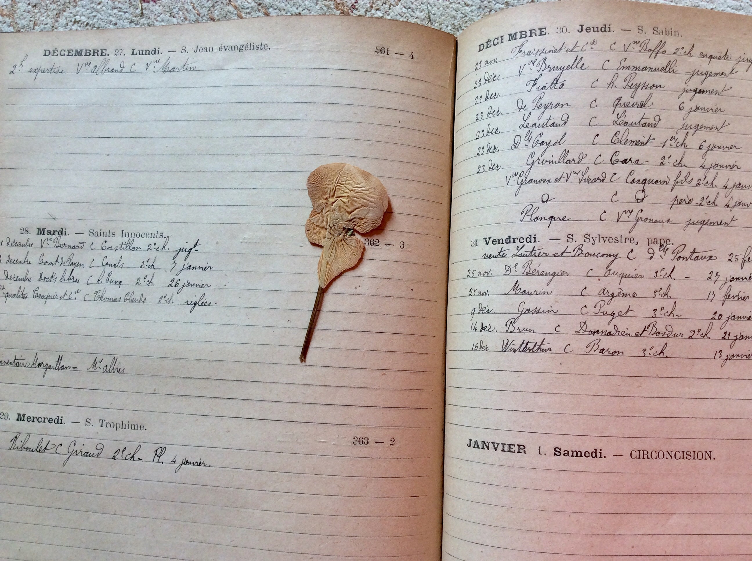Handwritten Diary For Sale Only 3 Left At 60 