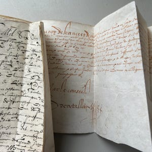 NUOVO STOCK Stupendo insolito antico 1624 grande carta pergamena francese manoscritta legata documento cartaceo antico scritto a mano