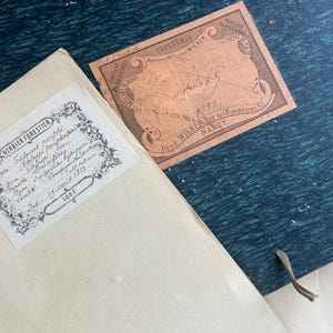 NEW STOCK Amazing Rare 1883 Huge 32 Herbier Folders Pressed Flowers Extra Large Pages Stunning Vintage French Botanical Handwritten Ephemera