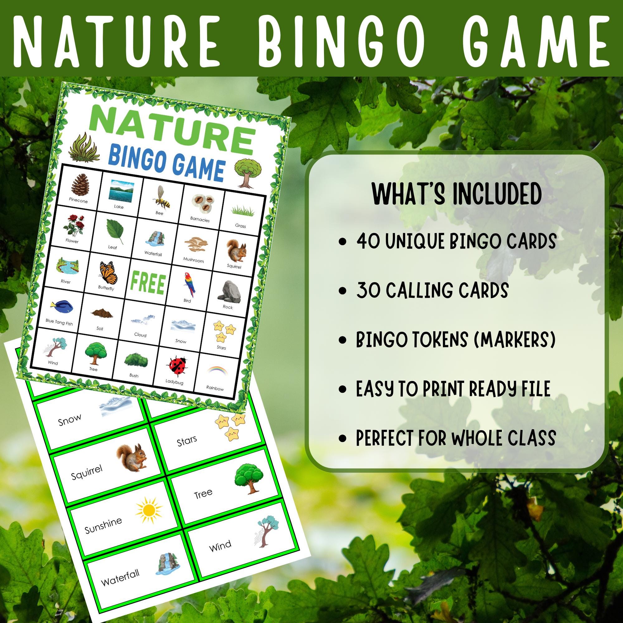 Nature Bingo Game Printable Outdoor Adventure Activity for Kids ...