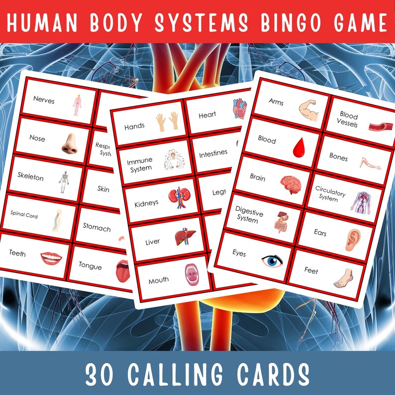 Human Body Systems Bingo Game | Printable Science Bingo Activity for ...