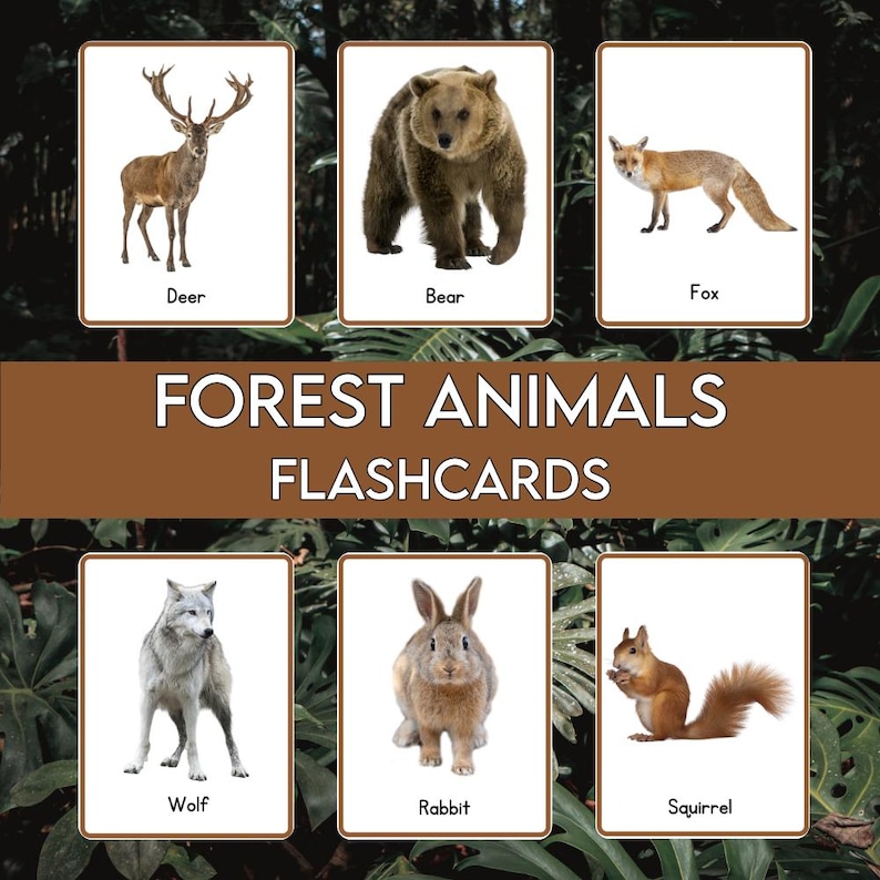 Forest Animals Flashcards Printable for Kids | Woodland Animal ...