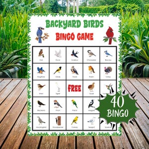 Backyard Birds Bingo Game | Nature & Birdwatching Activity for Kids |  Nature Education | Printable Science Classroom or Family Game