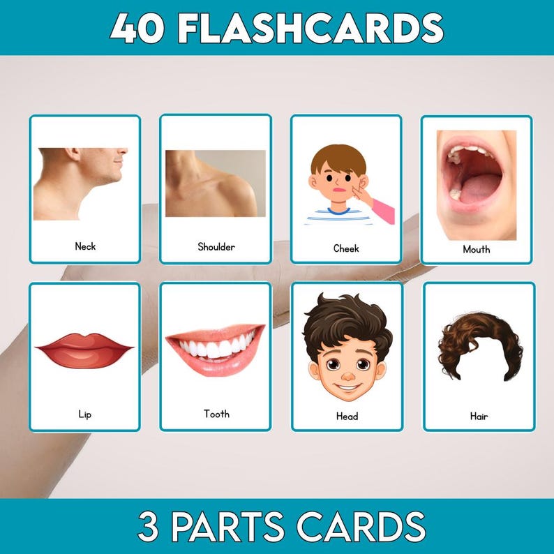 Body Parts Flashcards for Kids Printable | Human Body Vocabulary Cards ...