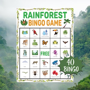 May include: A Rainforest Bingo Game board with illustrations of rainforest animals and elements. The game board includes a parrot, jaguar, snake, butterfly, frog, and more. The text "Rainforest Bingo Game" is at the top, and "40 Bingo" is at the bottom.
