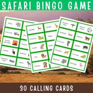 Safari Bingo Game | Jungle Animals Printable Activity for Kids ...