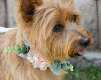 Accesorio para boda de collar de perro / collar de perro de boda / niña o niño de flores de perro / correa de perro de boda / decoración de correa / perro nupcial portador de anillo