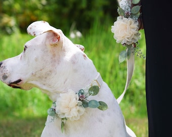 Wedding Dog Collar Accessory: Ivory Floral Pet Outfit