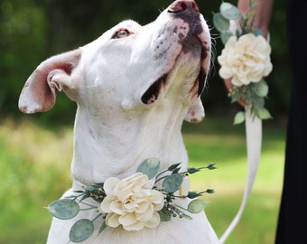 Wedding Dog Collar Corsage: Cream Floral Pet Collar Accessory