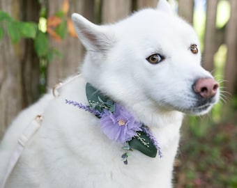 Lilac Dog Collar Corsage: Removable Pet Wedding Accessory