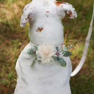 Dog Wedding Outfit Etsy