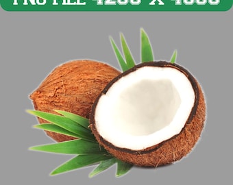 Kokosnuss PNG Clipart, tropische Kokosnuss halbe Illustration, frische Kokosnussfrucht PNG transparenter Hintergrund, Sublimationsdesign