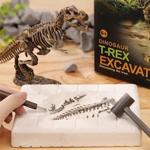 以下が含まれることがあります： 茶色のプラスチック製の恐竜の骨格モデルと「Dinosaur T-Rex Excavate」と書かれた箱が入ったT-Rex発掘キット。キットには、白いブロックから化石を掘り出すためのツールが含まれています。