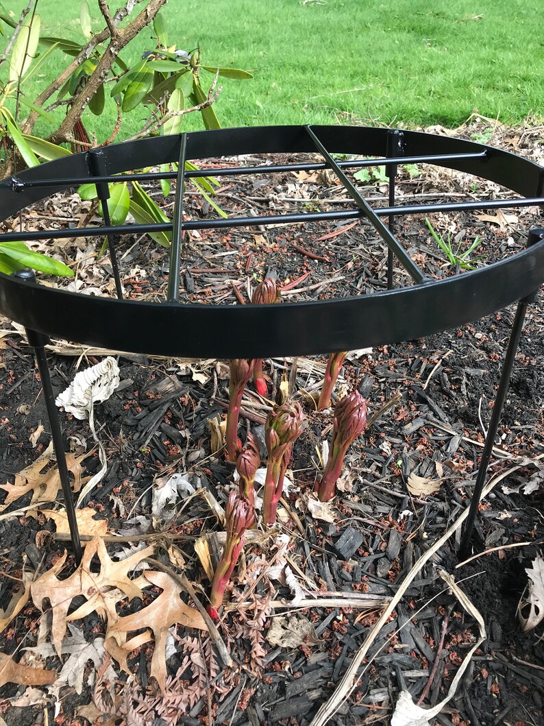 Peony Flower Stakes Flower Support Rings Etsy