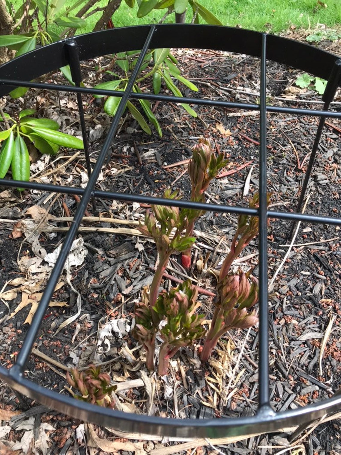 Peony flower stakes flower support rings Etsy