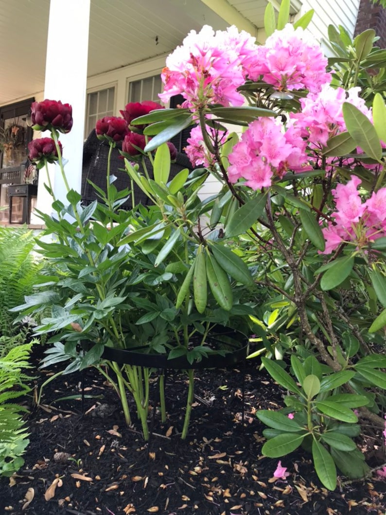 Peony Flower Stakes Flower Support Rings Etsy UK