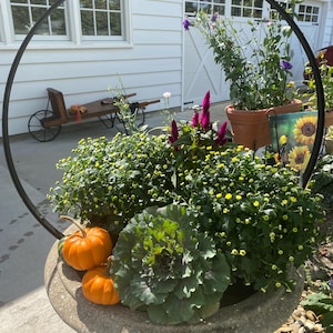 以下が含まれることがあります： オレンジ色のカボチャ、緑色のキャベツ、黄色の花など、秋の植物でいっぱいの大きな石のプランター。黒い金属製のアーチがプランターを囲み、背景には白い家とガレージがあります。