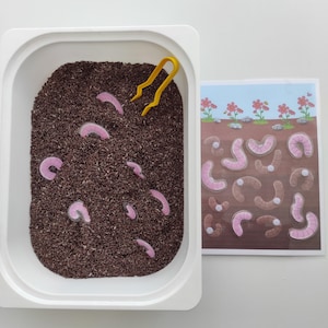 Könnte beinhalten: Eine weiße Schale gefüllt mit braunem Material und rosa Wurmformen. Eine gelbe Pinzette liegt in der Schale. Ein Bild zeigt Würmer im Boden mit Blumen. Lernspielzeug für Kinder.