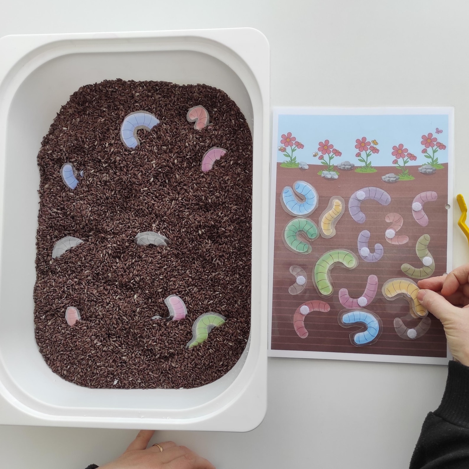 Printable Worm Sensory Bin Activity for Toddlers | Preschool Fine Motor ...