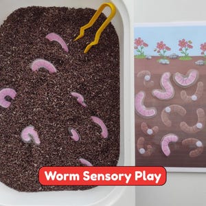 Actividad imprimible de contenedor sensorial de gusanos para niños pequeños / Juego de emparejamiento de motricidad fina para preescolares / Aprendizaje de primavera