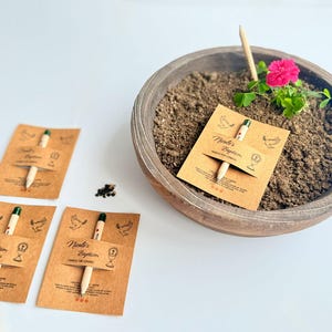 May include: A wooden bowl containing soil, a pink flower, and a small plant. Seed packets with pencils are placed around the bowl. The packets are labelled "Nicole's Baptism" and feature a dove and chalice illustration.