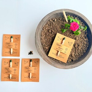 May include: A wooden planter filled with soil, a pink flower, and several seed pencils are shown from above. The pencils are attached to brown cards with the text "Nicole's Baptism". A small pile of seeds is next to the cards.