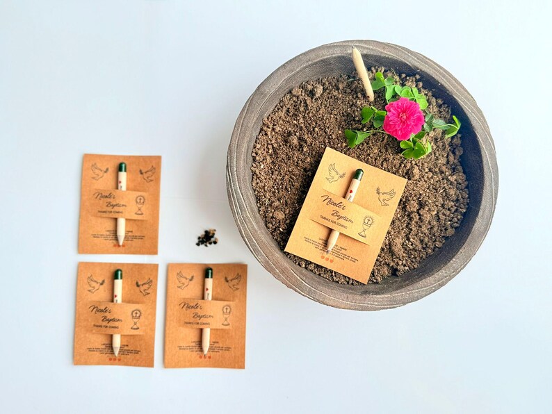 May include: A wooden planter filled with soil, a pink flower, and several seed pencils are shown from above. The pencils are attached to brown cards with the text "Nicole's Baptism". A small pile of seeds is next to the cards.