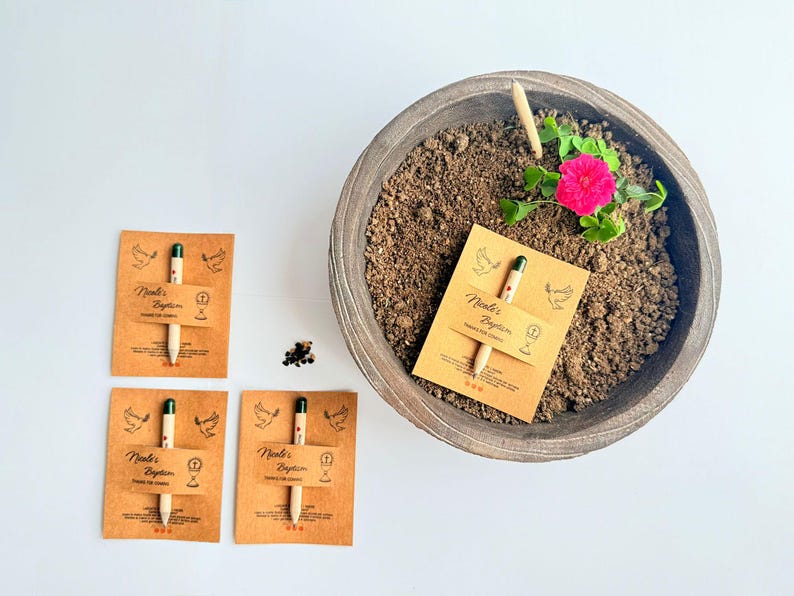 May include: An overhead shot shows a wooden planter filled with soil, a pink flower, and several seed pencils. Three seed pencils are displayed on brown cards with the text "Nicole's Baptism". A small pile of seeds is also visible.