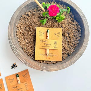 May include: A wooden bowl containing soil, a vibrant pink flower, and a small pencil. A card with the text "Nicole's Baptism" and a pencil is placed in the soil. The card features illustrations of doves and a chalice.