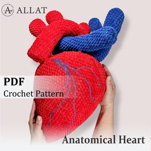 May include: A crocheted anatomical heart in red and blue, with blue veins. The image includes the text "PDF Crochet Pattern" and "Anatomical Heart". The heart is held by hands.