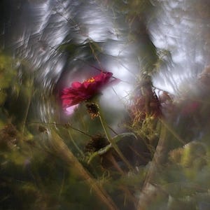 Petzval Objektiv Helios 44 M 58 mm f/2 M42 KMZ Swirly Bokeh